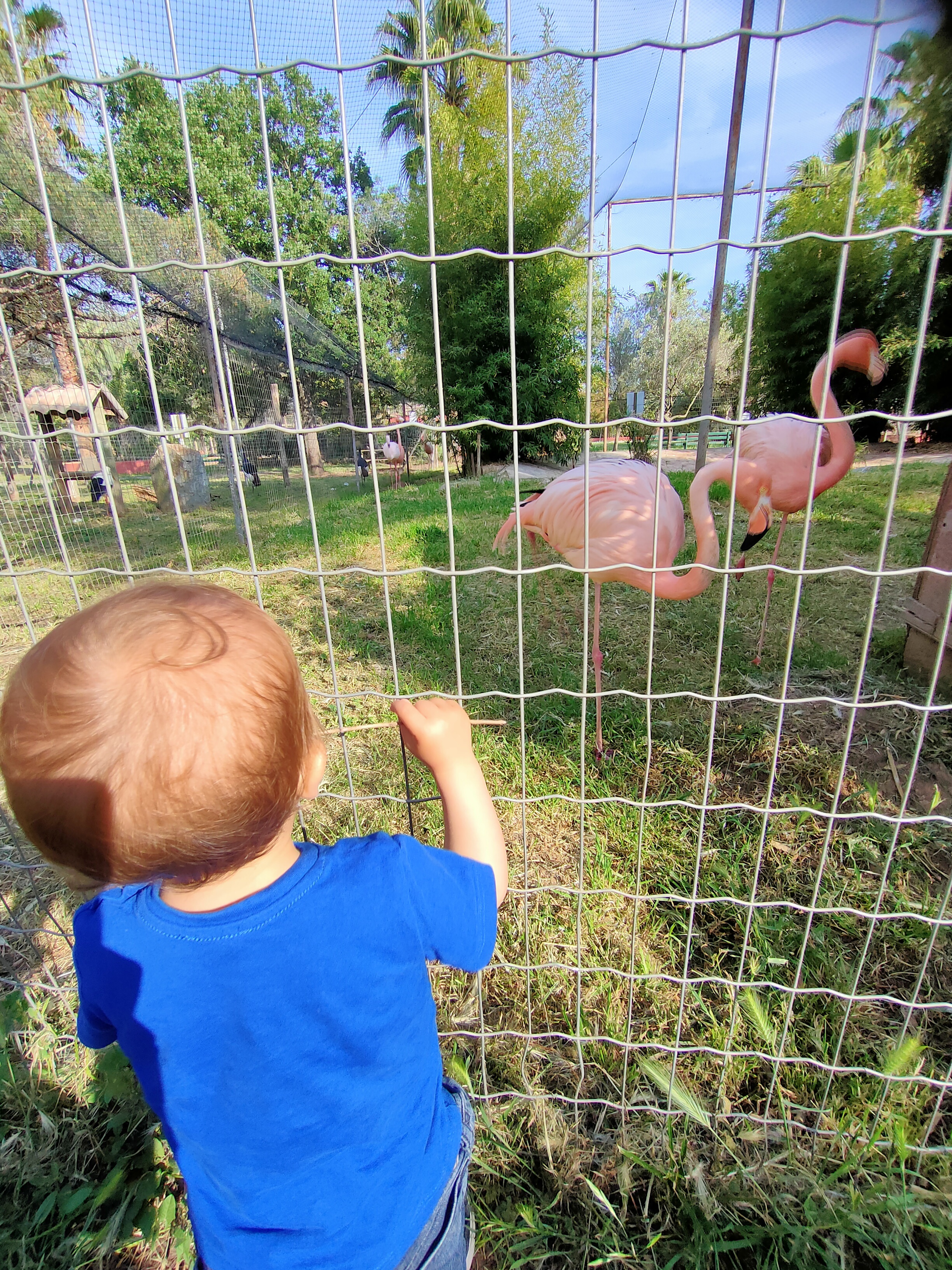 Photo n° 1 de l'avis de Veronique.a fait le 14/05/2022 à 20:04