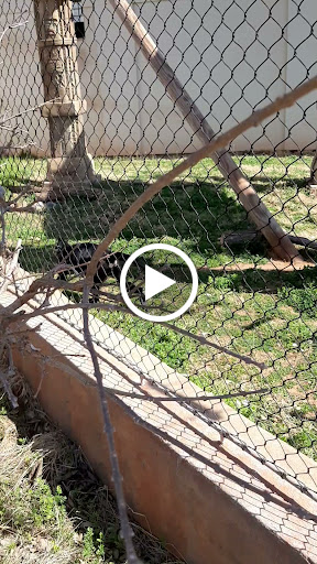 Zoo «Oklahoma City Zoo», reviews and photos, 2000 Remington Pl, Oklahoma City, OK 73111, USA