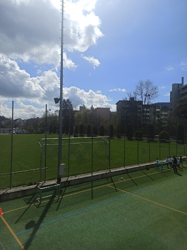Rezensionen über FC Langnau am Albis in Schwyz - Sportstätte