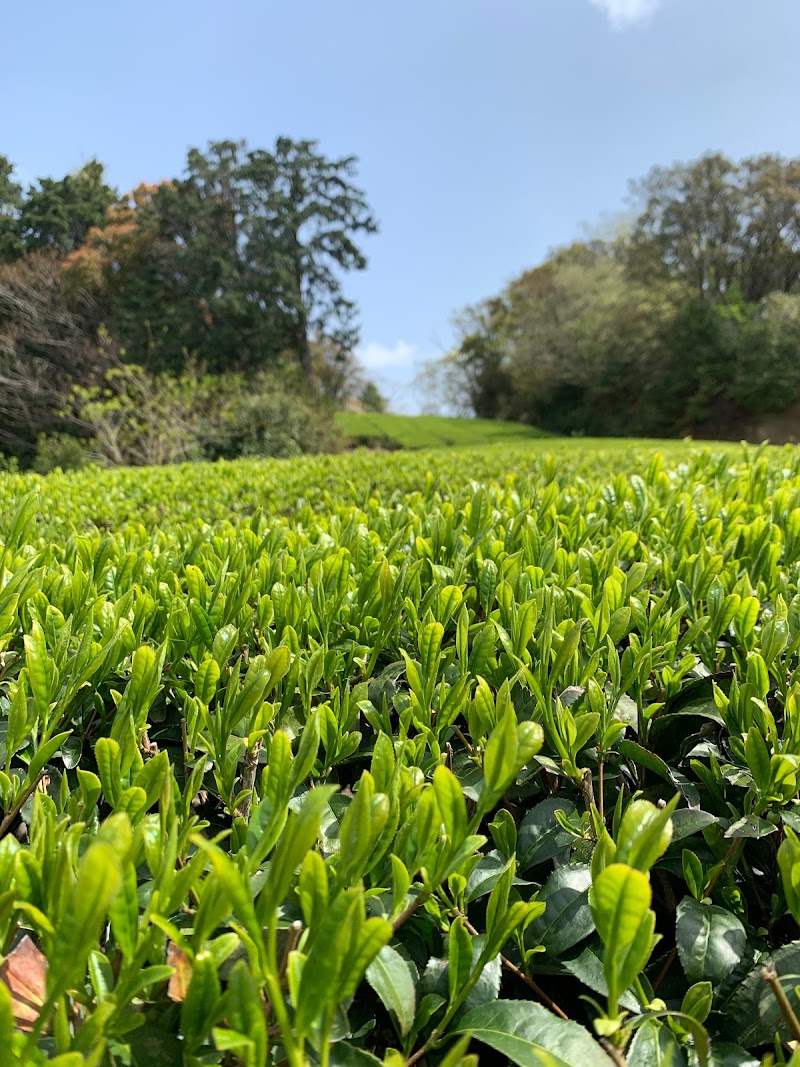 お茶の大石園