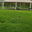 Carrigaline Bandstand