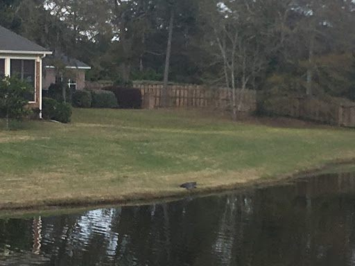 Golf Club «True Blue Golf Plantation», reviews and photos, 900 Blue Stem Dr, Pawleys Island, SC 29585, USA