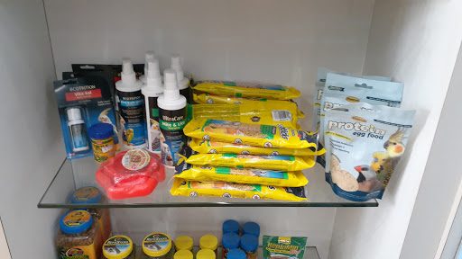 Pet Store «South Beach Pet Shop», reviews and photos, 634 6th St, Miami Beach, FL 33139, USA