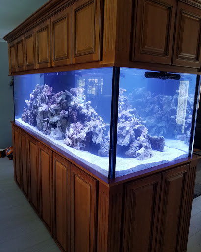 Pet Store «Tanks A Lot Aquariums», reviews and photos, 6680 Lantana Rd, Lake Worth, FL 33467, USA