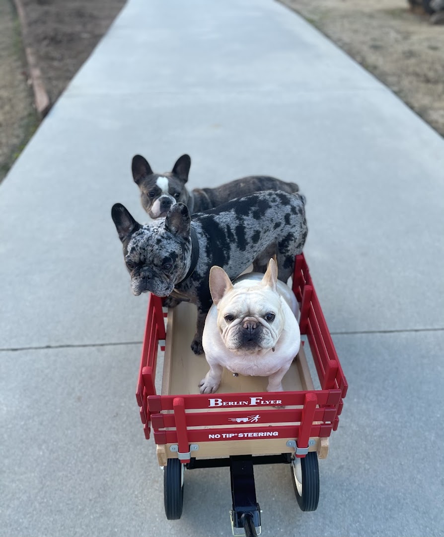 Keller Creek Boarding & Grooming