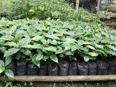 VIVERO EL GUAYACÁN