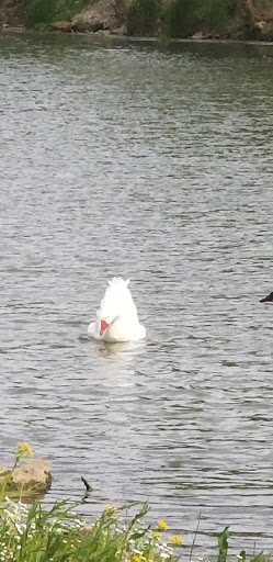 Water Park «Wapakoneta WaterPark», reviews and photos, 106 Hamilton Rd, Wapakoneta, OH 45895, USA