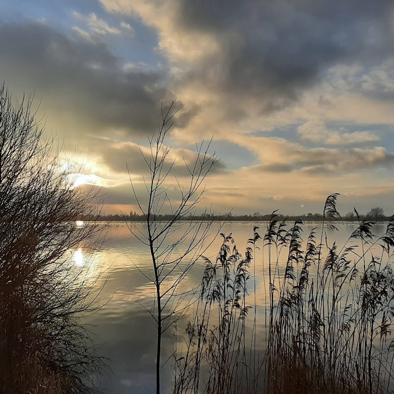 Vogelkijkscherm Lecksdijk