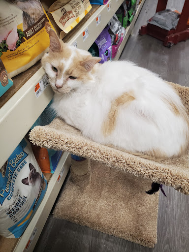 Pet Supply Store «Pet Supplies Plus», reviews and photos, 2057 S Telegraph Rd, Bloomfield Hills, MI 48302, USA