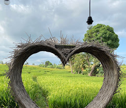 Warung Bamboo photo