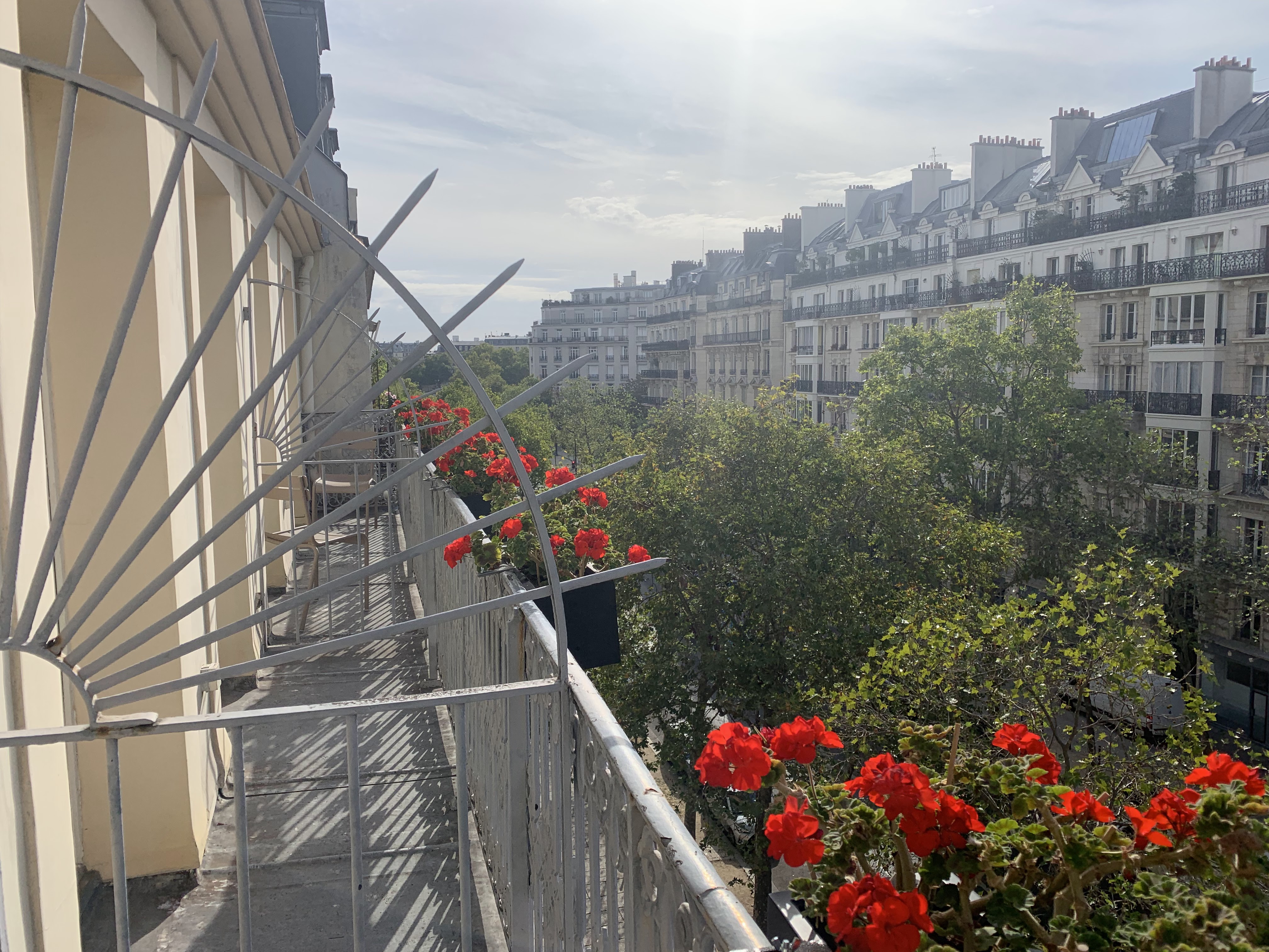 Photo n° 1 de l'avis de Tom.e fait le 10/09/2019 à 16:22