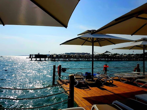 Department Store «Belk», reviews and photos, 11397 Parkside Dr, Knoxville, TN 37934, USA