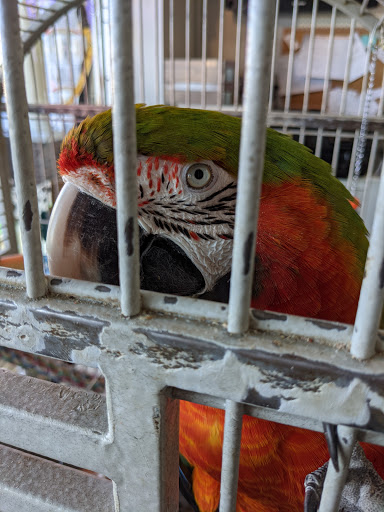 Pet Supply Store «The Village Pet Shoppe, LLC», reviews and photos, 1150 Carlisle St, Hanover, PA 17331, USA