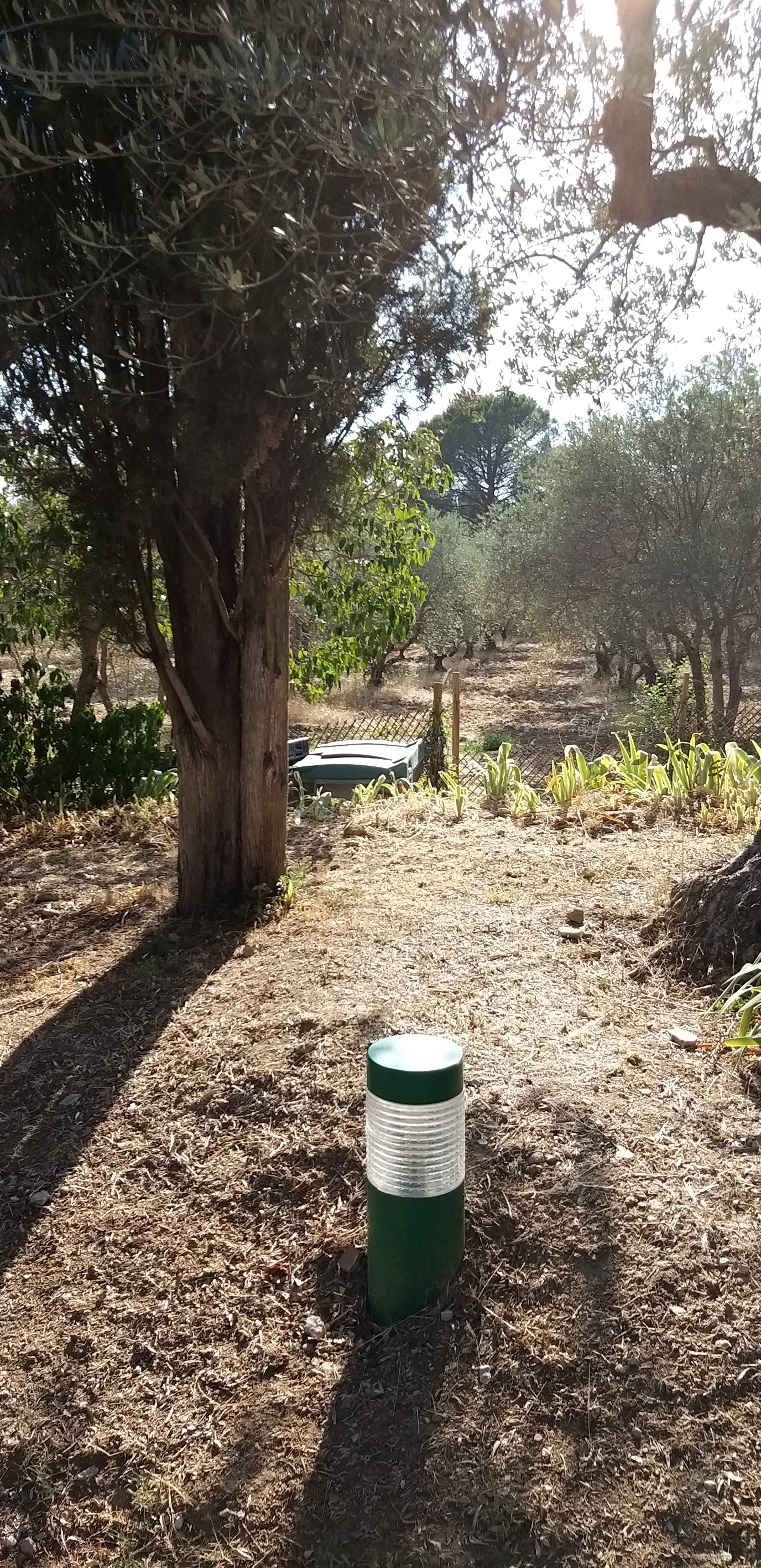 Photo n° 11 de l'avis de unmecdesannees80. fait le 27/08/2019 à 18:09