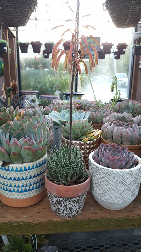 Hardware Store «Orchard Supply Hardware», reviews and photos, 2245 Gellert Blvd, South San Francisco, CA 94080, USA