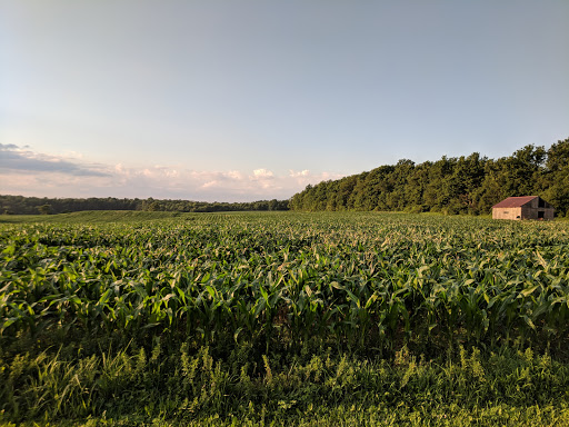 Campground «Cooperstown KOA», reviews and photos, 565 Ostrander Rd, Richfield Springs, NY 13439, USA