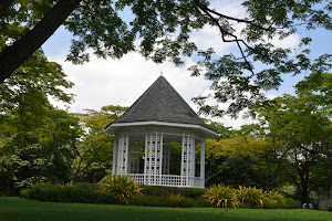 Singapore Botanic Gardens image