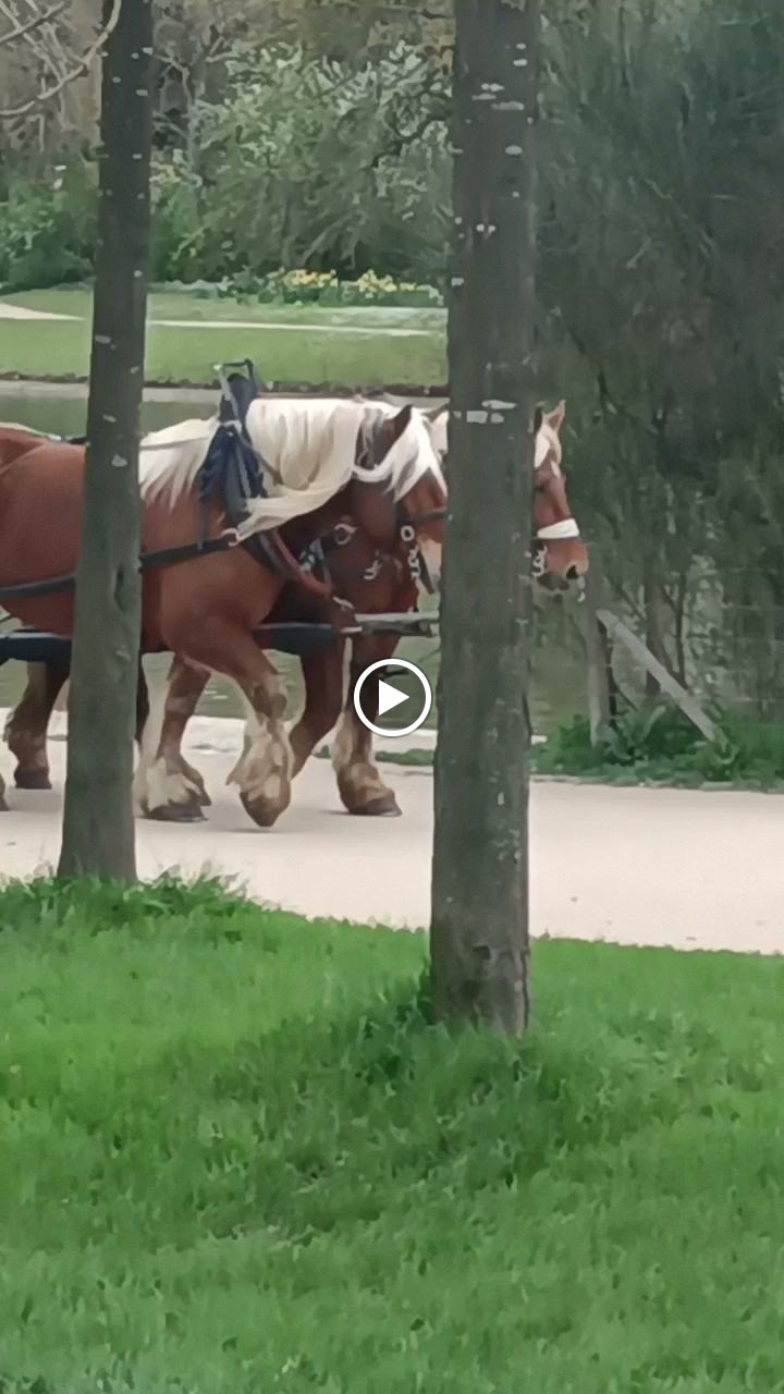 Photo n° 2 de l'avis de Josette.a fait le 03/04/2023 à 11:42