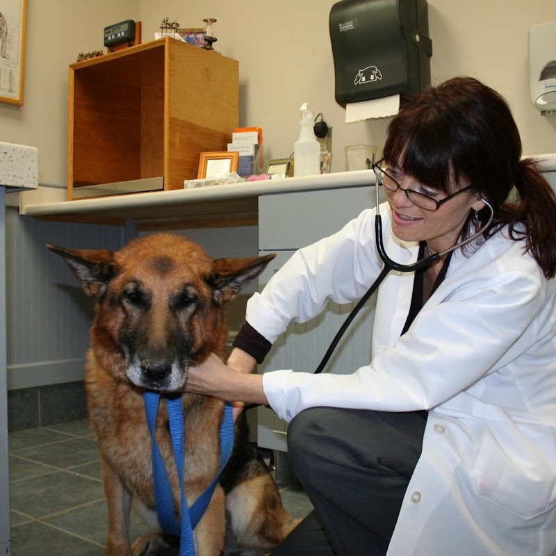 Massachusetts Veterinary Referral Hospital