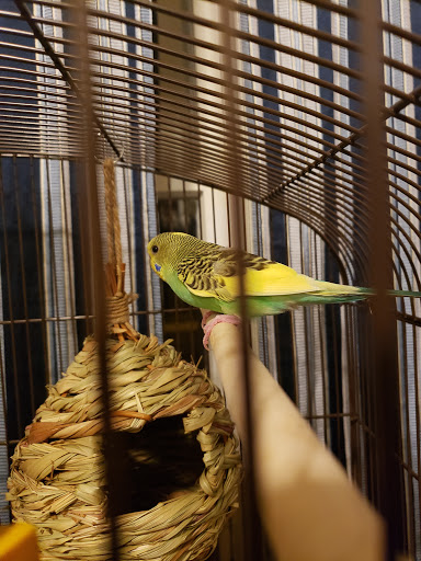 Pet Supply Store «PetSmart», reviews and photos, 5050 SE 14th St, Des Moines, IA 50320, USA