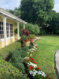 Natural Green landscaping services LLC - Photo 1 - Car repair in , West Palm Beach