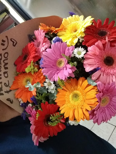 FLORERIA TUXPAN INDEPENDENCIA – Los Mochis