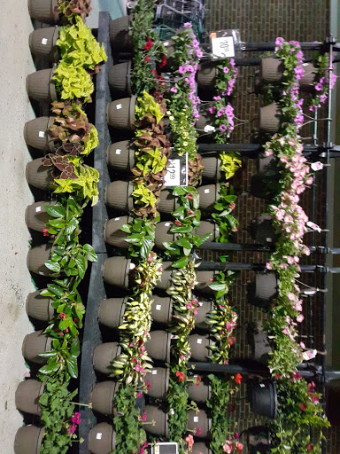 Supermarket «Giant», reviews and photos, 5615 Stone Rd, Centreville, VA 20120, USA