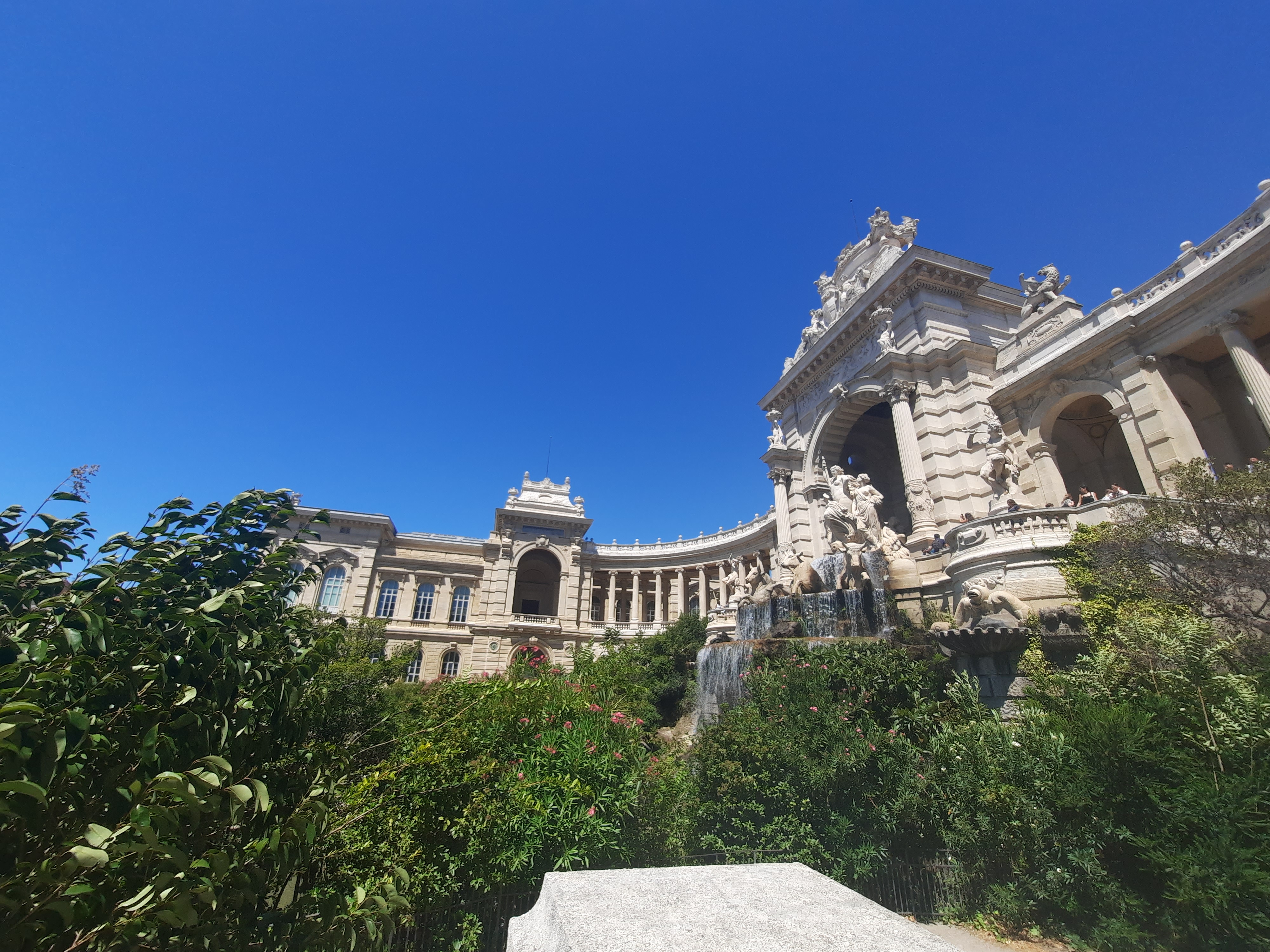 Photo n° 1 de l'avis de tortugafr. fait le 16/08/2023 à 13:08