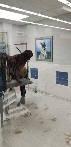 Pet Supply Store «Petco Animal Supplies», reviews and photos, 2965 Hempstead Turnpike, Levittown, NY 11756, USA