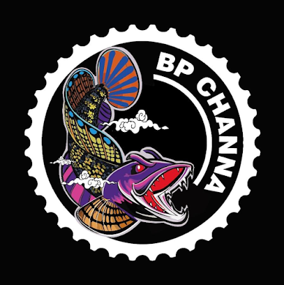 BP CHANNA_BP FISH CHANNEL