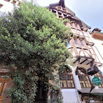 Photo n°1 de l'avis de Birgit.a fait le 23/09/2023 à 09:43 sur le  Alte Gutsschänke à Cochem