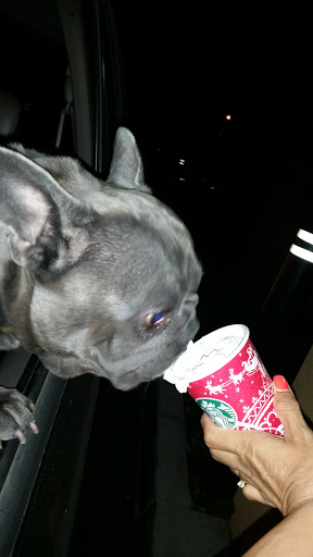Starbucks image