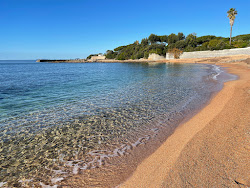 Photo de Crique Porticcio Beach - endroit populaire parmi les connaisseurs de la détente