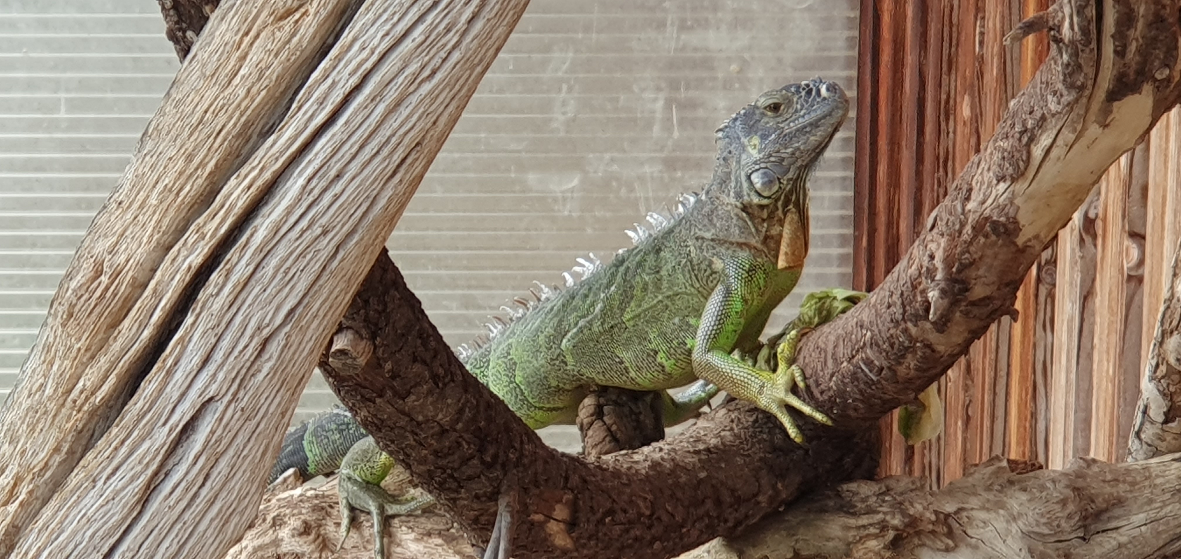 Photo n° 4 de l'avis de Carole.h fait le 08/06/2023 à 19:18