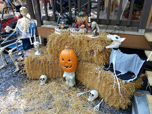 Campground «Saunderosa Park Inc», reviews and photos, 5909 Little Cove Rd, Mercersburg, PA 17236, USA