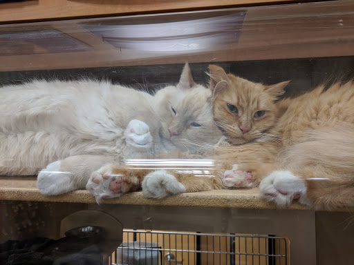 Pet Supply Store «PetSmart», reviews and photos, 2028 Miamisburg Centerville Rd, Dayton, OH 45459, USA