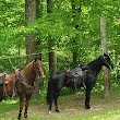 Hocking Hills Horse Camp