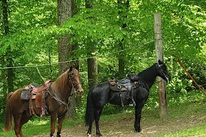 Hocking Hills Horseman's Camp image