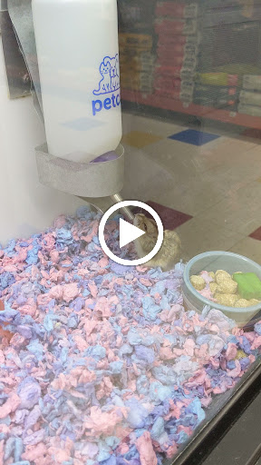 Pet Supply Store «Petco Animal Supplies», reviews and photos, 300 Hylan Dr, Rochester, NY 14623, USA