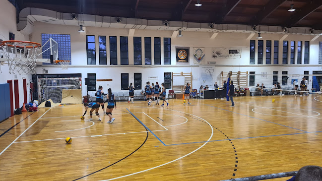 Δημοτικό Κλειστό Γυμναστήριο Αγίου Στεφάνου(ΟΙΟΝ,ΑΟΑΣ)