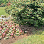 Photo n°2 de l'avis de davide.u fait le 07/05/2023 à 17:55 sur le  Cascina Il Casale Inverigo à Inverigo