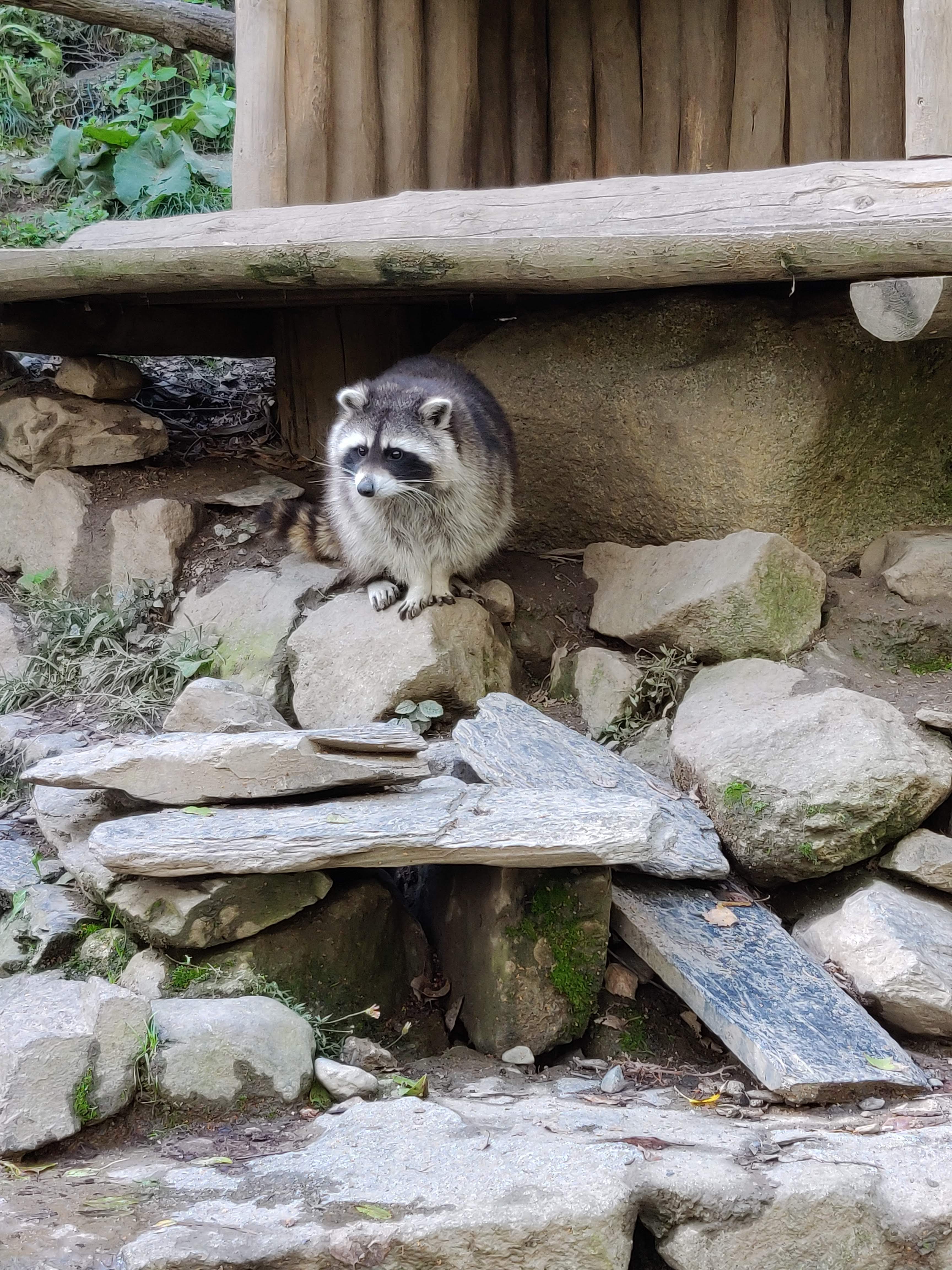 Photo n° 1 de l'avis de Kelly.e fait le 06/10/2020 à 20:25