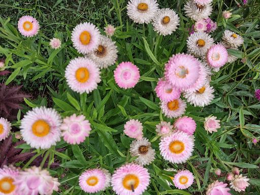 National Park «Home of Franklin D. Roosevelt National Historic Site», reviews and photos, 4097 Albany Post Rd, Hyde Park, NY 12538, USA