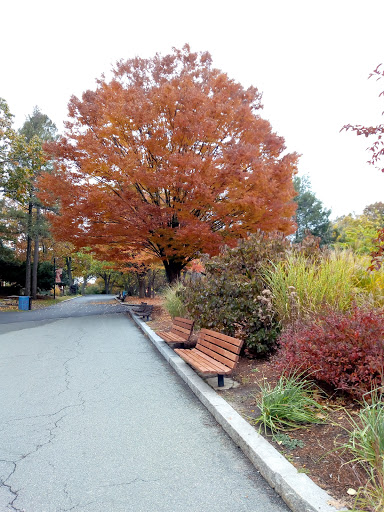 Park «Franklin Park», reviews and photos, 1 Franklin Park Rd, Boston, MA 02121, USA