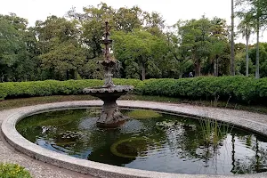 Jardin Botanico Fountain image