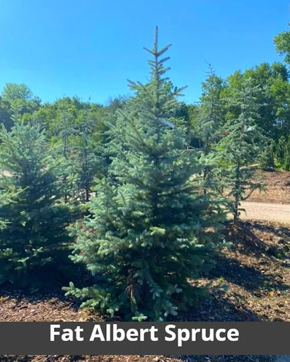 Landscaping Supply Store «Kirkwood Gardens», reviews and photos, 2701 Barrett Station Rd, Ballwin, MO 63021, USA