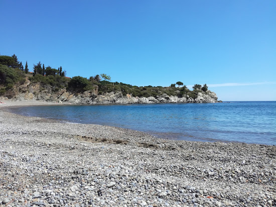 Elmes Strand