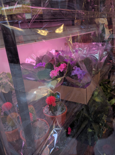 Park «Columbus Park», reviews and photos, 67 Mulberry St, New York, NY 10013, USA