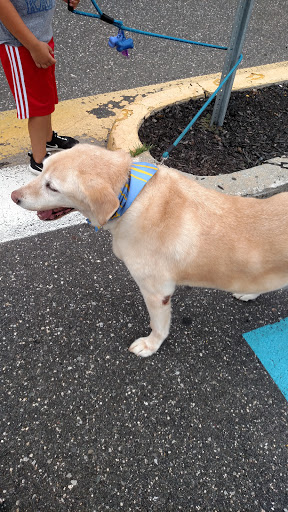 Pet Supply Store «Petco Animal Supplies», reviews and photos, 839 New York Ave, Huntington, NY 11743, USA