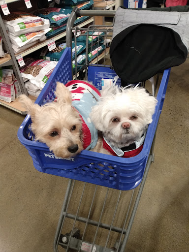 Pet Supply Store «PetSmart», reviews and photos, 450 Fairview Ave, Hudson, NY 12534, USA